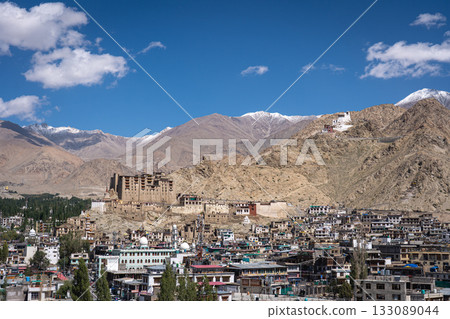 View of Leh City in Ladakh, India View of Leh City in Ladakh, India 133089044