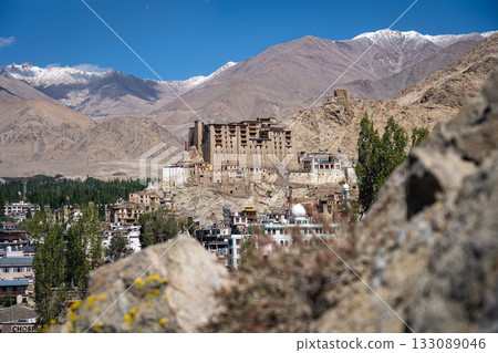 View of Leh City in Ladakh, India 133089046