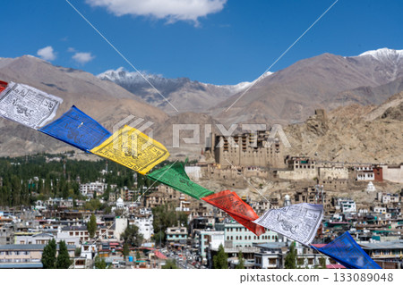 View of Leh City in Ladakh, India 133089048