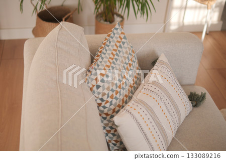 Comfortable living room with decorative cushions and plants 133089216