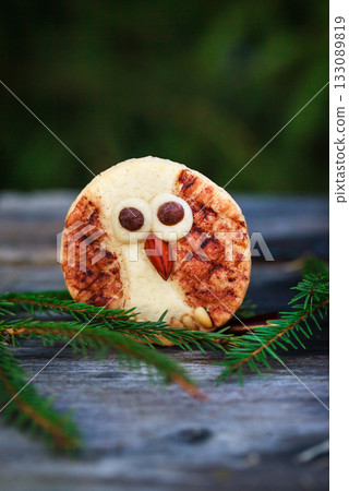 Cute Shortbread Owl cookies for Christmas on outdoor fir-tree background Cute Shortbread Owl cookies for Christmas on outdoor fir-tree background 133089819