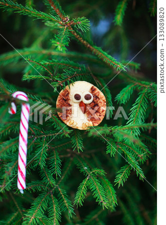 Cute Shortbread Owl cookies for Christmas on outdoor fir-tree background Cute Shortbread Owl cookies for Christmas on outdoor fir-tree background 133089820