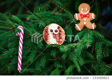 Cute Gingerbreadman and Shortbread Owl cookies for Christmas on outdoor fir-tree background Cute Gingerbreadman and Shortbread Owl cookies for Christmas on outdoor fir-tree background 133089821