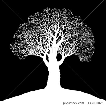 Vector drawing. Old oak tree Vector drawing. Old oak tree 133090025