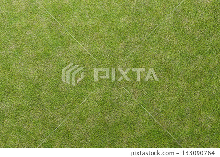 Background material with the image of green grass Background material with the image of green grass 133090764