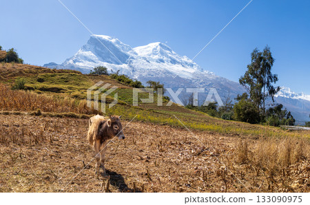 Aerial view of the Nevado de Huascaran in the Ancash region. 133090975