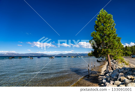 View of Lake Tahoe, California, on a sunny day. Boats are moored in the clear blue water near the rocky shore, with a large pine tree on the right View of Lake Tahoe, California, on a sunny day. Boats are moored in the clear blue water near the rocky shore, with a large pine tree on the right 133091001