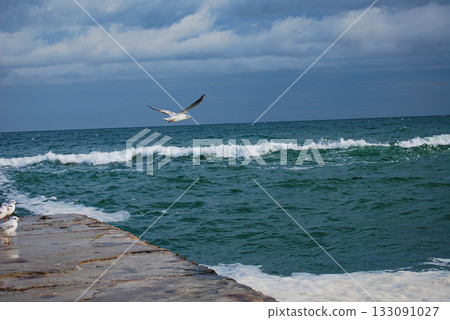 Seagull soaring above wavy sea on a cloudy day. Seagull soars above the wavy sea near a stone pier. Sea surface appears dark green with white-capped waves, indicative of windy conditions. Seagull soaring above wavy sea on a cloudy day. Seagull soars above the wavy sea near a stone pier. Sea surface appears dark green with white-capped waves, indicative of windy conditions. 133091027