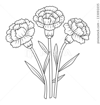 Three black line carnations with leaves, vector monochrome flower bouquet, buds with foliage, coloring page 133091035
