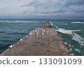 Seagulls on a concrete pier under a cloudy sky. Seagulls  stand on a rugged concrete pier extending into a choppy sea. 133091099