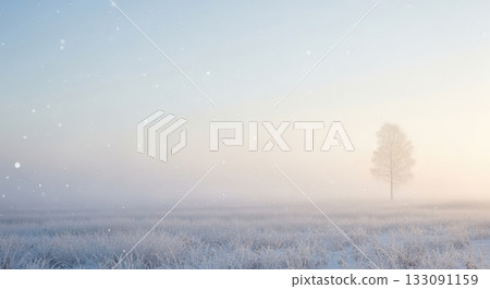 冬日森林寂靜的樹木剪影背景畫 133091159