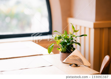 Green plant and napkin on table in sunlit cafe interior Green plant and napkin on table in sunlit cafe interior 133091387