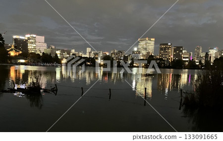 Shining lights reflected on the surface of Shinobazu Pond at night Shining lights reflected on the surface of Shinobazu Pond at night 133091665