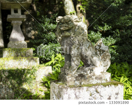 Komainu (guardian dogs) at Kasuga Shrine in Inagawa Town 133091890