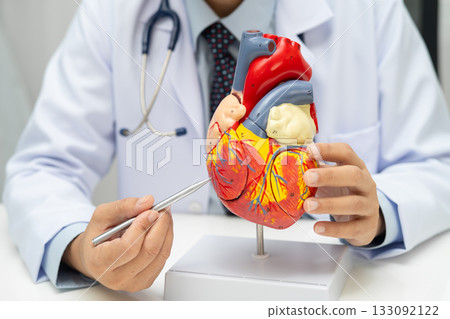 Cardiovascular disease CVD, Asian doctor holding human anatomy model for learn and treat heart disease. Cardiovascular disease CVD, Asian doctor holding human anatomy model for learn and treat heart disease. 133092122