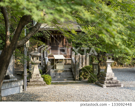 綠葉與神社 133092448