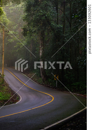 A winding, rain-washed road snakes through a lush, misty forest. Tall trees, dark shadows, and a roadside sign guide the quiet drive, capturing moody, natural scenery and tranquil solitude A winding, rain-washed road snakes through a lush, misty forest. Tall trees, dark shadows, and a roadside sign guide the quiet drive, capturing moody, natural scenery and tranquil solitude 133092601