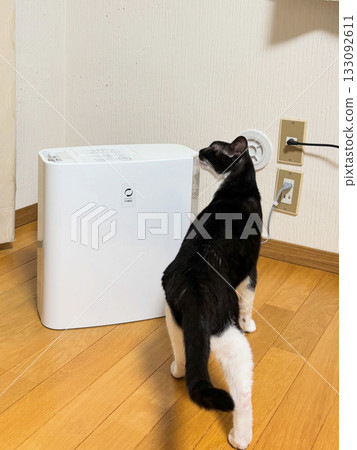 加濕器和黑白貓 加濕器和黑白貓 133092611