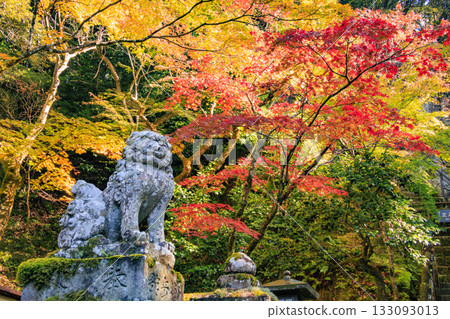 Natadera Temple at its best when the autumn leaves are in full bloom 133093013