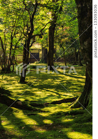 秋葉盛開時，那陀羅寺最為迷人。 133093036