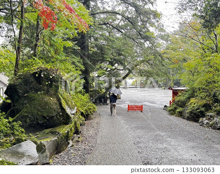 雨中倒映著秋葉和綠植 雨中倒映著秋葉和綠植 133093063