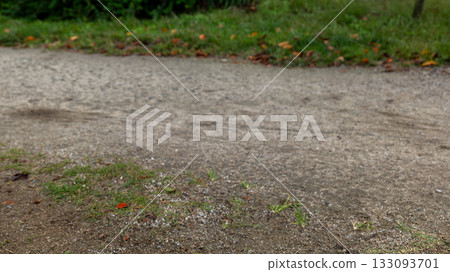 Cherry blossoms petals that fell to the ground Cherry blossoms petals that fell to the ground 133093701