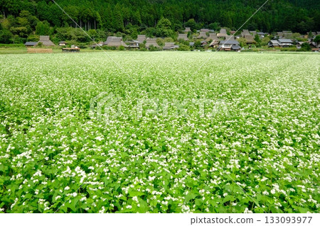 初秋的宮山茅吹之裡 133093977