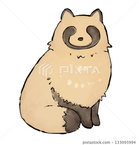 一幅淡彩水彩浣熊插圖 133093994