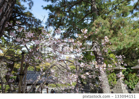 住吉大社 133094151