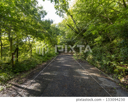 道路穿過群山，兩旁綠意盎然。 133094230