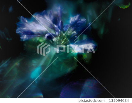 在黑色背景下拍攝的紫色小花的相機內多重曝光照片 在黑色背景下拍攝的紫色小花的相機內多重曝光照片 133094684