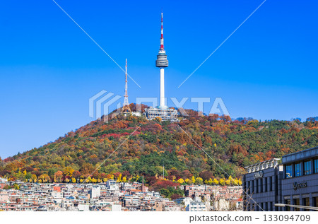 Autumn in Seoul: Namsan Tower (N Seoul Tower) 133094709