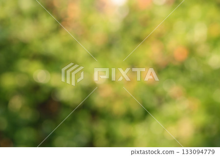 Natural defocus lights green and orange as background. Natural defocus lights green and orange as background. 133094779