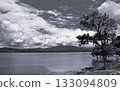 A stunning view of Lake Tazawa, trees, and the summer sky in the quiet of Akita Prefecture (monochrome) 133094809