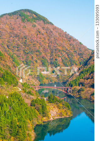 Shogawa Gorge (Autumn) 133095093