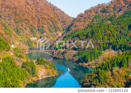 Shogawa Gorge (Autumn) Shogawa Gorge (Autumn) 133095120