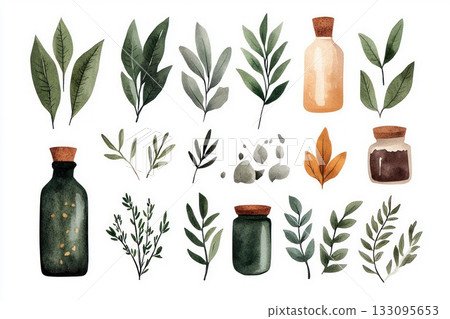 Delicate watercolor illustration of organic herbs and spices, herbal medicine, natural healing 133095653