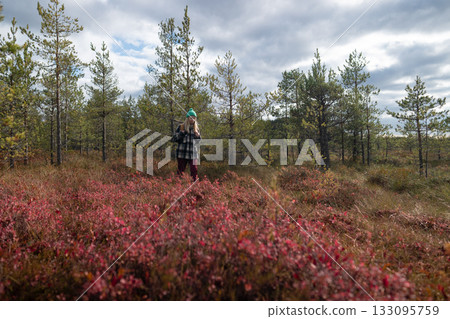 Woman hiker walk across clearing with red blueberry bushes in autumn bogland, solo travel in nature 133095759