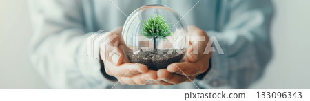 A person holds a miniature tree in a glass dome, symbolizing growth, sustainability, and environmental awareness. A person holds a miniature tree in a glass dome, symbolizing growth, sustainability, and environmental awareness. 133096343