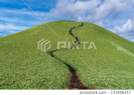 Autumn hiking on Mt. Mitake Autumn hiking on Mt. Mitake 133096457
