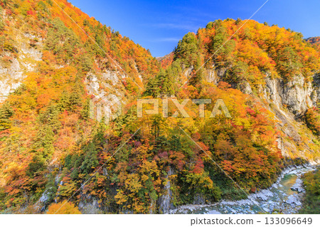 白山白川鄉白道(石川縣)的秋葉正值鼎盛時期 白山白川鄉白道(石川縣)的秋葉正值鼎盛時期 133096649