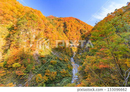 白山白川鄉白道(石川縣)的秋葉正值鼎盛時期 白山白川鄉白道(石川縣)的秋葉正值鼎盛時期 133096662
