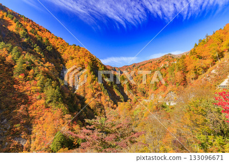 白山白川鄉白道(石川縣)的秋葉正值鼎盛時期 白山白川鄉白道(石川縣)的秋葉正值鼎盛時期 133096671