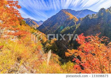 白山白川鄉白道(石川縣)的秋葉正值鼎盛時期 白山白川鄉白道(石川縣)的秋葉正值鼎盛時期 133096673