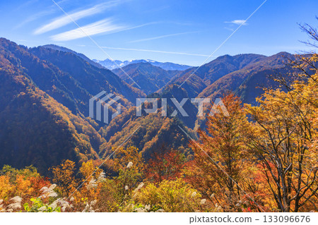 白山白川鄉白道(石川縣)的秋葉正值鼎盛時期 白山白川鄉白道(石川縣)的秋葉正值鼎盛時期 133096676