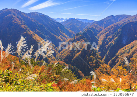 白山白川鄉白道(石川縣)的秋葉正值鼎盛時期 白山白川鄉白道(石川縣)的秋葉正值鼎盛時期 133096677