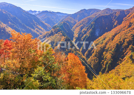 白山白川鄉白道(石川縣)的秋葉正值鼎盛時期 白山白川鄉白道(石川縣)的秋葉正值鼎盛時期 133096678