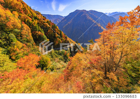 白山白川鄉白道(石川縣)的秋葉正值鼎盛時期 白山白川鄉白道(石川縣)的秋葉正值鼎盛時期 133096683