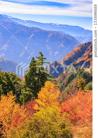 白山白川鄉白道(石川縣)的秋葉正值鼎盛時期 白山白川鄉白道(石川縣)的秋葉正值鼎盛時期 133096689