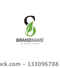 green leaf with letter s logo icon vector design template concept 133096788